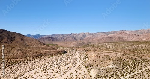 Arid Desert With Indigenous Ocotillo Plants In California, USA. aerial shot photo