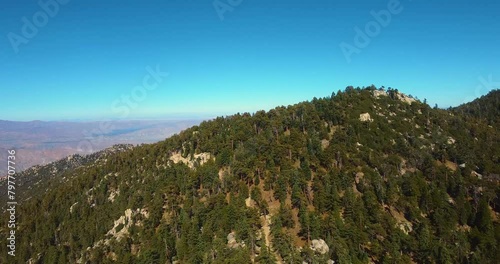 Fly Above Bee Canyon Forest Trees In Hemet, California, United States. Aerial Drone Shot photo