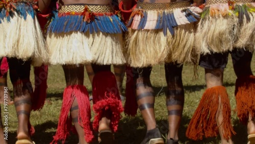 Indigenous Amazonian Dancers' Legs with Striped Paint and Red Grass Skirts, Dancing in Slow Motion photo