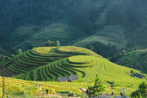 The beautiful rice terraces of Mu Cang Chai  Yen Bai  Vietnam