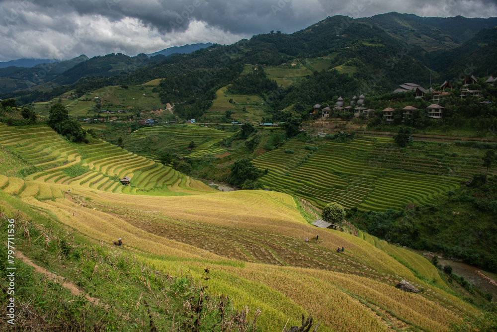 The spectacular rice terraces of Mu Cang Chai, Yen Bai, Vietnam The spectacular rice terraces of Mu Cang Chai, Yen Bai, Vietnam