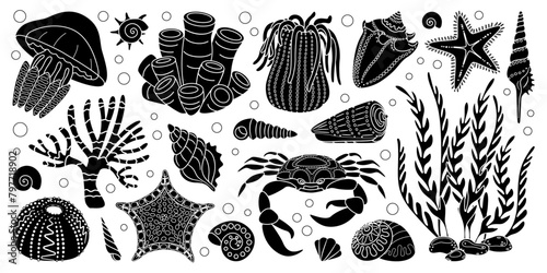Hand drawn sea life silhouette set. Aquatic animals, anemones, crab, algae, shells, starfish, coral reef plants. Simple style black and white underwater ecosystem silhouettes. Vector illustration