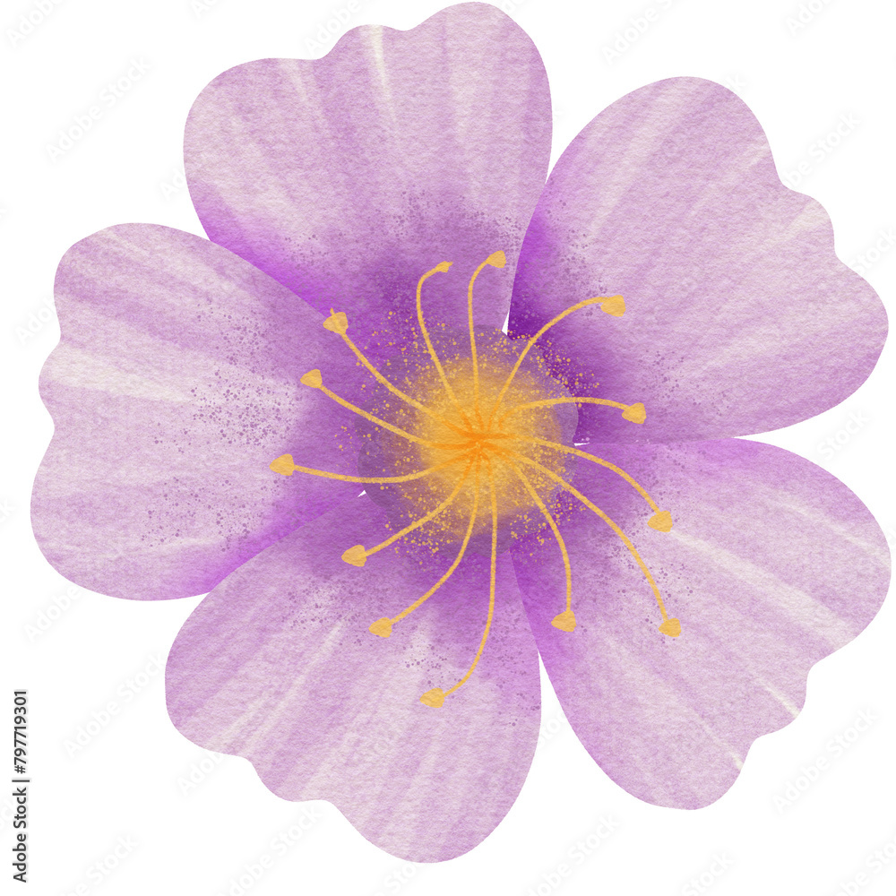 Obraz premium Purple flower