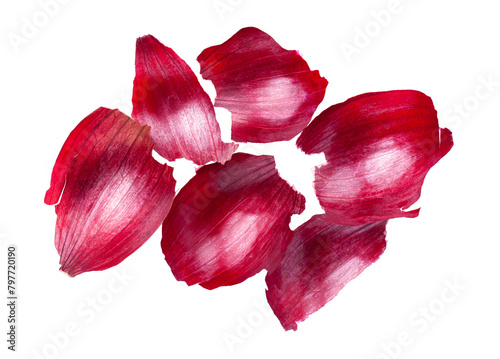 Bright red onion skins, rich in texture and color, captured in high detail against a white background, isolated with a natural shadow, transparent PNG