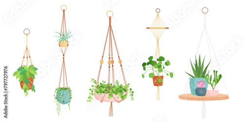 House plants in hanging macrame pots. Home green garden. Vector illustration collection of tropical flowers in hangers. Cute beautiful handmade home or office decoration