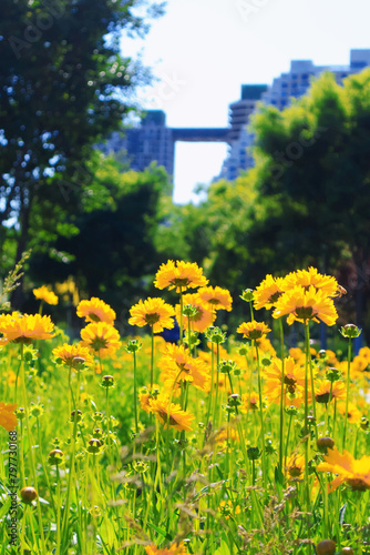 Vibrant yellow flowers in a field against a towering building backdrop
