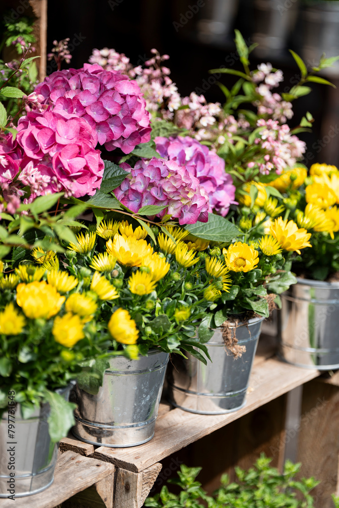 flower shop flower shop