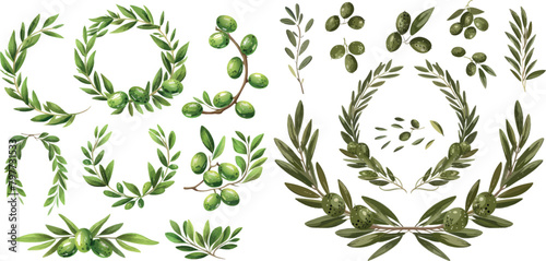 Olives branches and olive crown. Greek olives branch and wreath set 