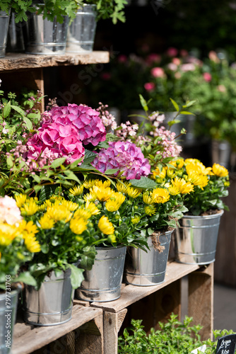 flower shop