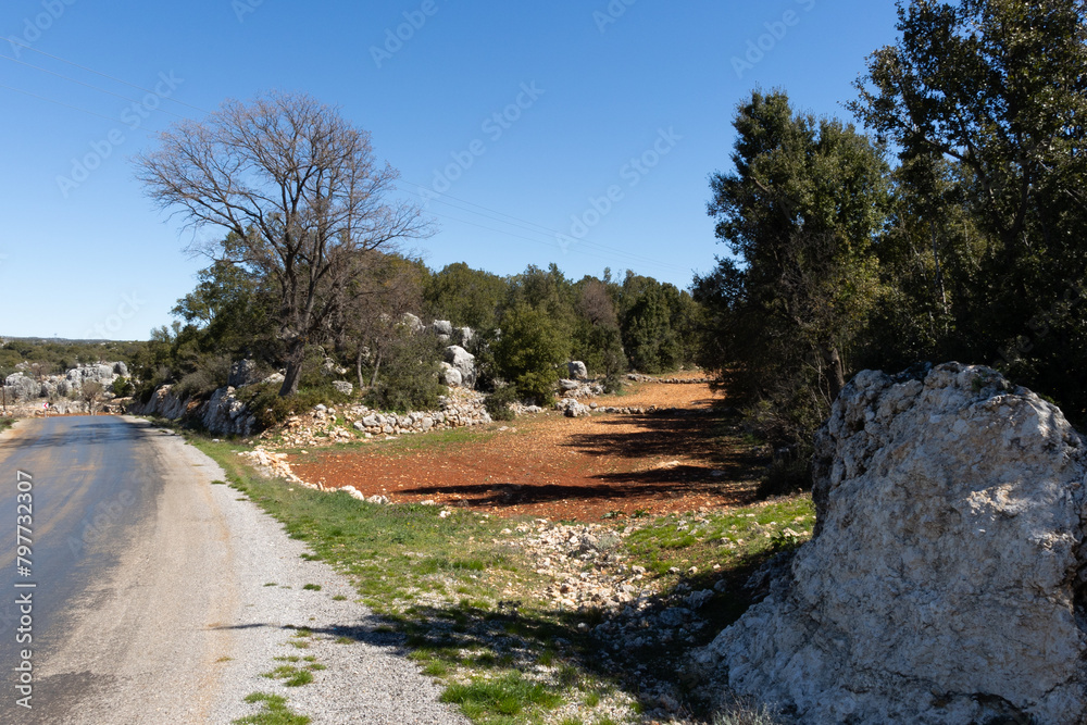 A asphalt road and a unpaved earth road go into division in a woodland