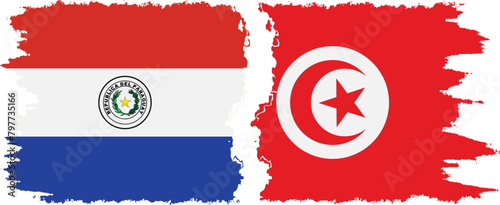 Tunisia and Paraguay grunge flags connection vector