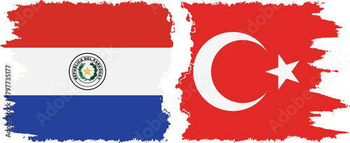 Turkey and Paraguay grunge flags connection vector