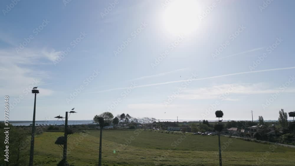 Storks in flight and nesting on poles against a sunlit sky in Murtosa, Aveiro Portugal - aerial Storks in flight and nesting on poles against a sunlit sky in Murtosa, Aveiro Portugal - aerial