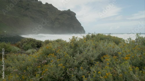 Playa de la Arena is a popular cove with a wide stretch of black sand.