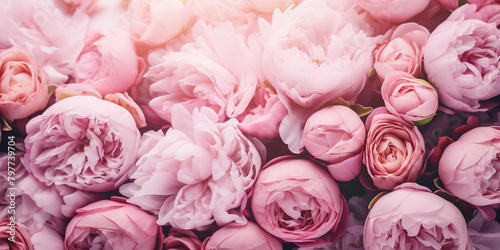 background with beautifl flowers, pink peonies, pink roses photo