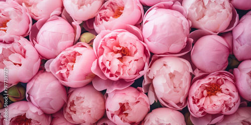 background with beautifl flowers, pink peonies, pink roses photo