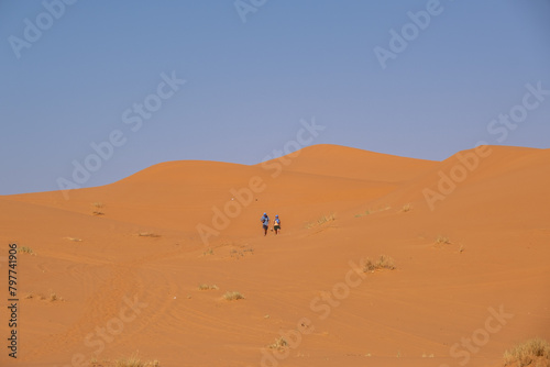 The most beautiful safaris in the desert _ Moroccan desert _ camel riding in the desert _ meditation trips in the desert _ desert sand dunes