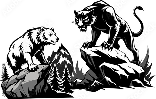 Wild Panther and Bear black and white illustration