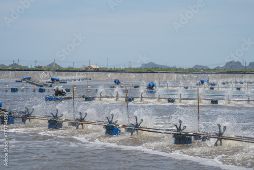 natural sea salt ponds, lake or sea. Farm field outdoor in traditional industry in Thailand. Asia culture. Agriculture irrigation. River reflection.