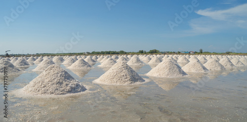 Farmers making heaps of raw sea salt piles with sea. Farm field outdoor. Nature material in traditional salt industry in Thailand. Asia culture. Agriculture lifestyle people.