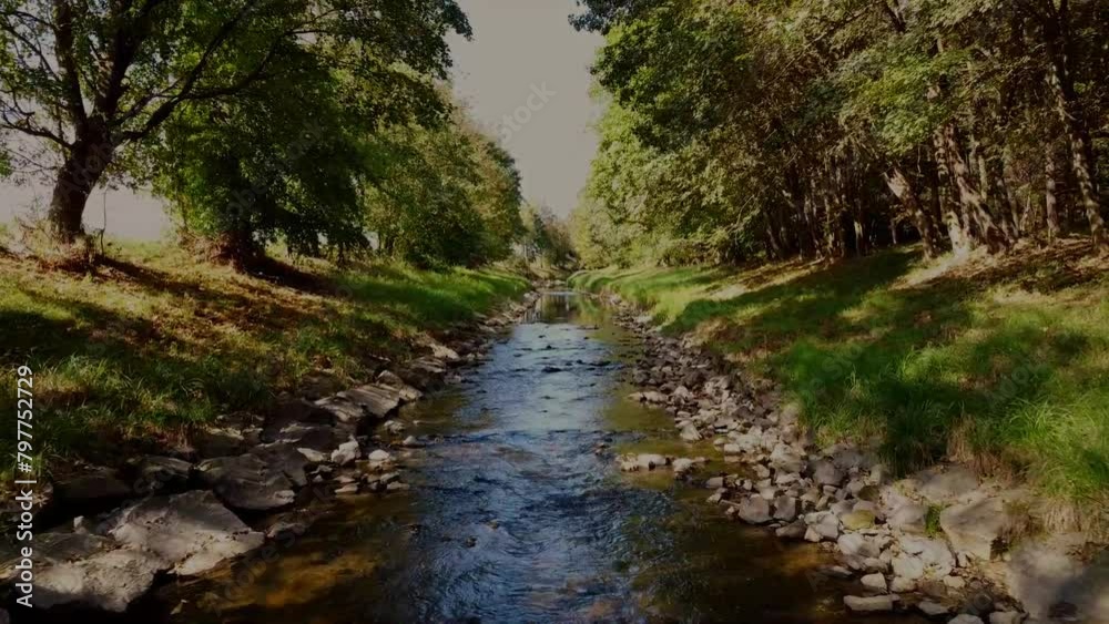 River with stones and trees byside cinematic droneshot River with stones and trees byside cinematic droneshot