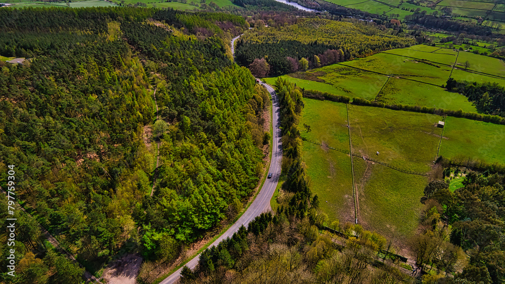 Winding Road Through Lush Forest in North Yorkshire