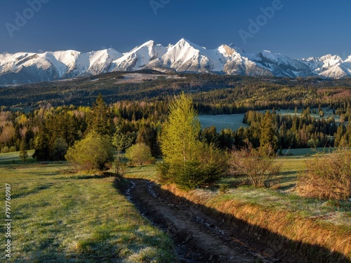 Piękna panorama Tatr Bielskich widziana z Łapszanki w wiosenny poranek (ID: 797760987)