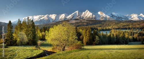 Piękna panorama Tatr Bielskich widziana z Łapszanki w wiosenny poranek (ID: 797760996)