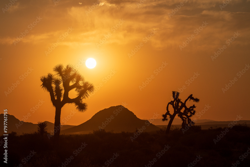 Desert sunset with silhouetted Joshua trees and mountains