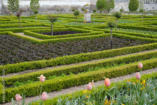 Villandry, France - April 26, 2024: A tight frame of French gardens in spring.