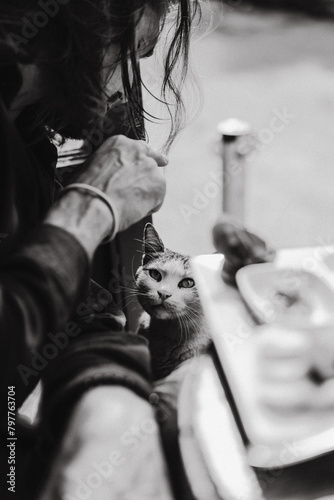 Man feeds a street cat in a cafe in Istanbul