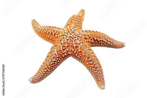A vibrant starfish stands out against a stark white background, showcasing its intricate details and unique beauty