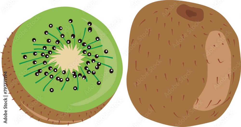 Fototapeta premium vector drawing of a kiwi