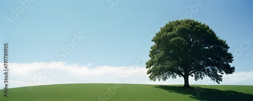 A green grassy hill with a tree in the foreground against a clear blue sky