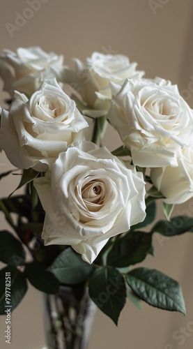 a group of white roses