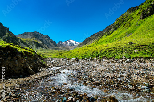 Scenery of Nalati grassland in the hinterland of Tianshan Mountains in Xinjiang, China photo