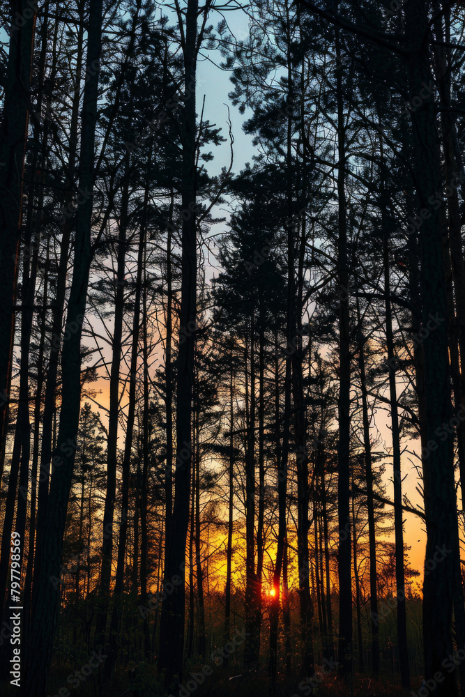 Silhouette texture of a forest against a sunset or sunrise backdrop, featuring tree outlines and atmospheric gradients. Silhouette texture of a forest against a sunset or sunrise backdrop, featuring tree outlines and atmospheric gradients.