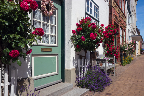 Schöne gepflegte Häuser Fassaden mit  schönen Türen und roten Stockrosen in der Holländersiedlung Friedrichstadt. photo
