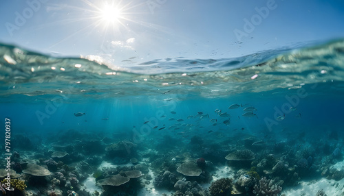 An underwater ecosystem teeming with vibrant marine life, emphasizing the beauty and importance of marine biodiversity.