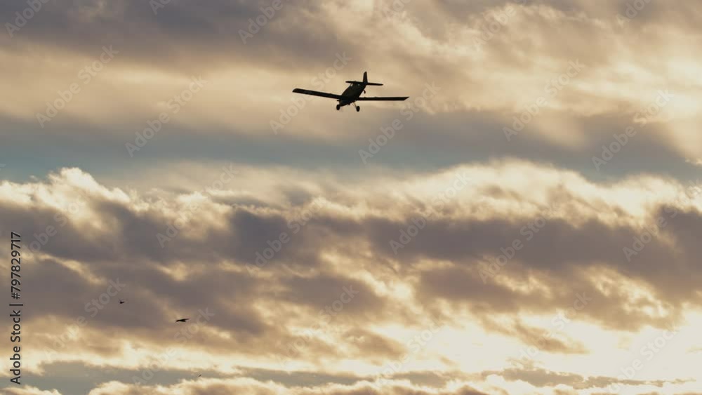Silhouette of plane flying in the sky at sunset