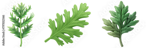 PNG thistle leaf 3d icons and objects collection, in cartoon style minimal on transparent, white background, isolate photo