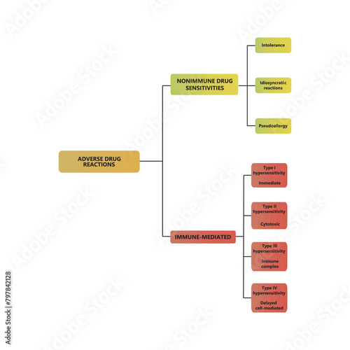 Diagram showing types of adverse drug reactions - immune (type I - IV) and non immune. Scientific medical shcematic illustration.