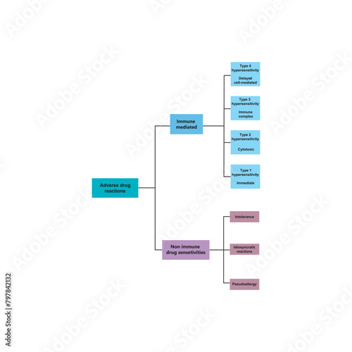 Diagram showing types of adverse drug reactions - immune (type I - IV) and non immune. Scientific medical shcematic illustration.