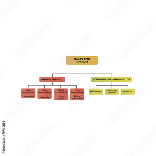 Diagram showing types of adverse drug reactions - immune (type I - IV) and non immune. Scientific medical shcematic illustration.