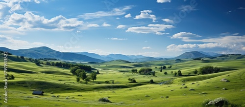 landscape with green fields and blue sky. photo