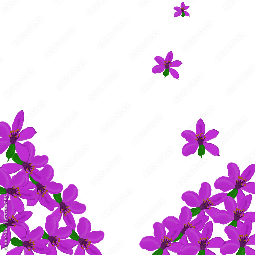 violet flowers frame