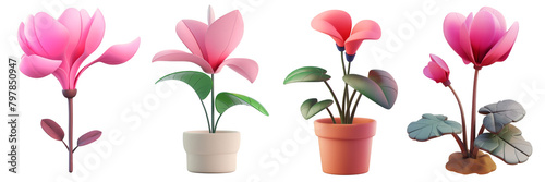 PNG cyclamen 3d icons and objects collection, in cartoon style minimal on transparent, white background, isolate photo