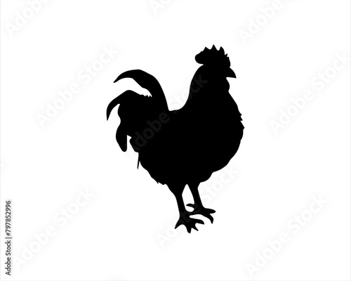 Chicken or rooster silhouette vector illustration on white background