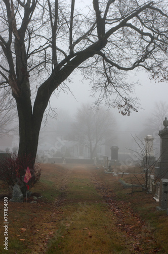 Misty Cemetery Scene