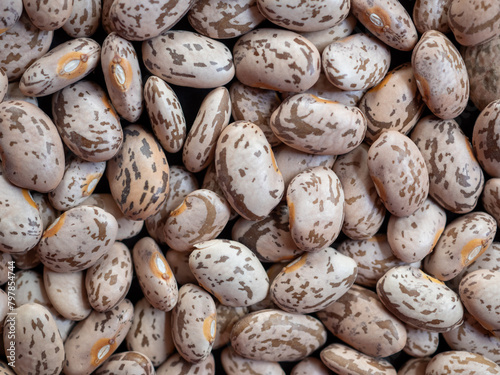 Close-up of a field of Pinto Beans